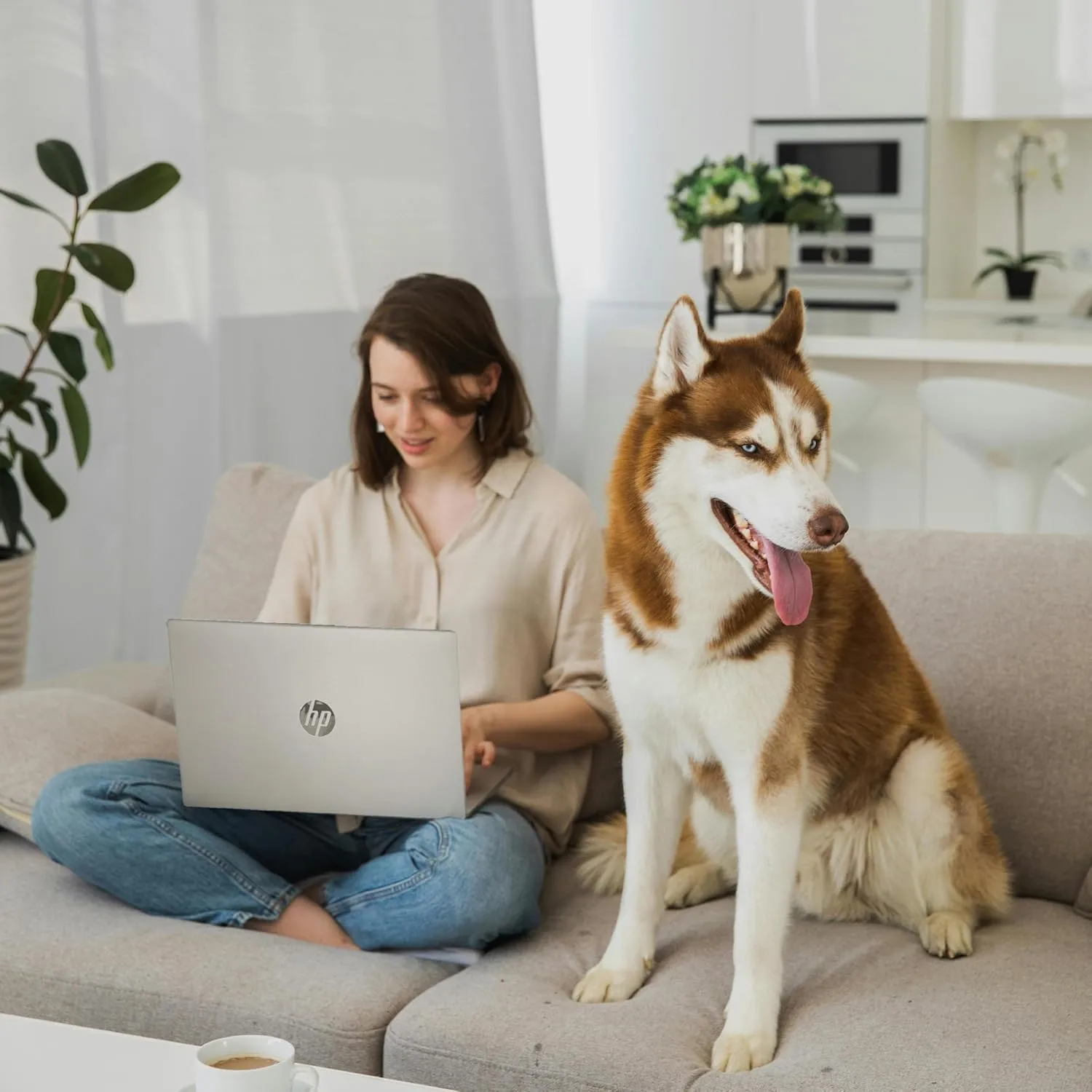 1768390416 746 HP 156 Business Laptop Computer with Microsoft 365 %E2%80%A2 2026