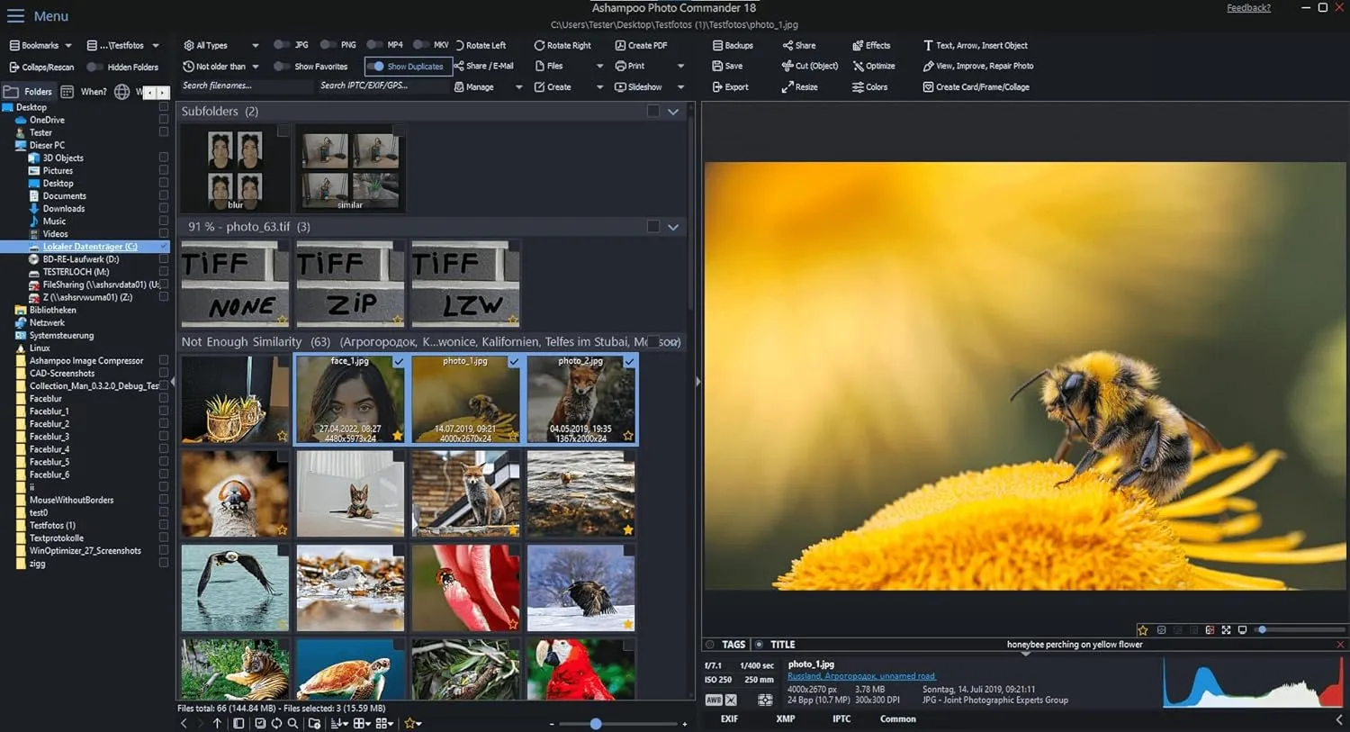 1768543198 773 Photo editing software compatible with Windows 11 10 %E2%80%93 view