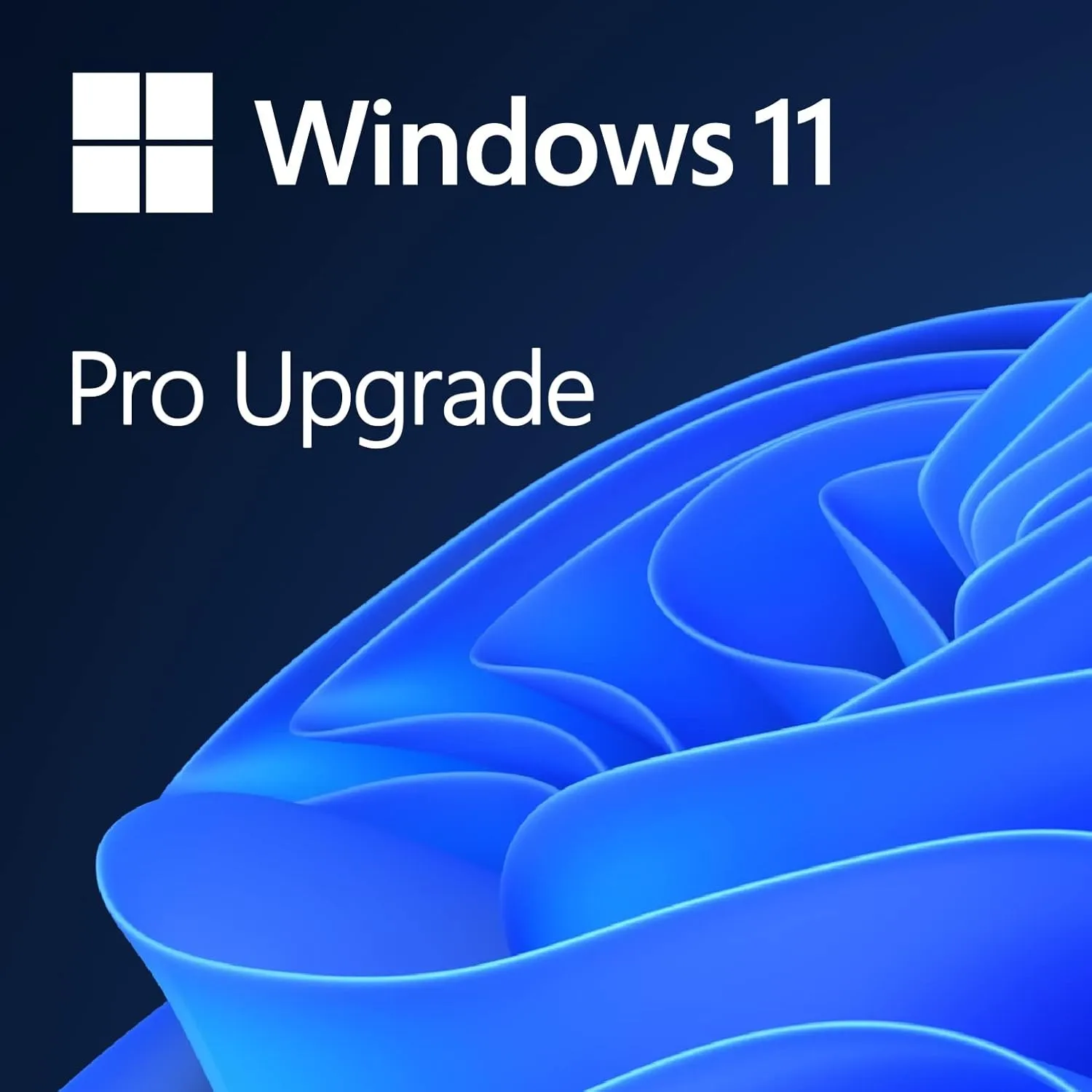 Windows 11 Pro Upgrade from Windows 11 Home Digital Download