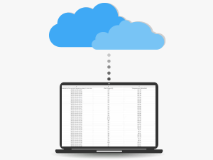 Data Storage and Export