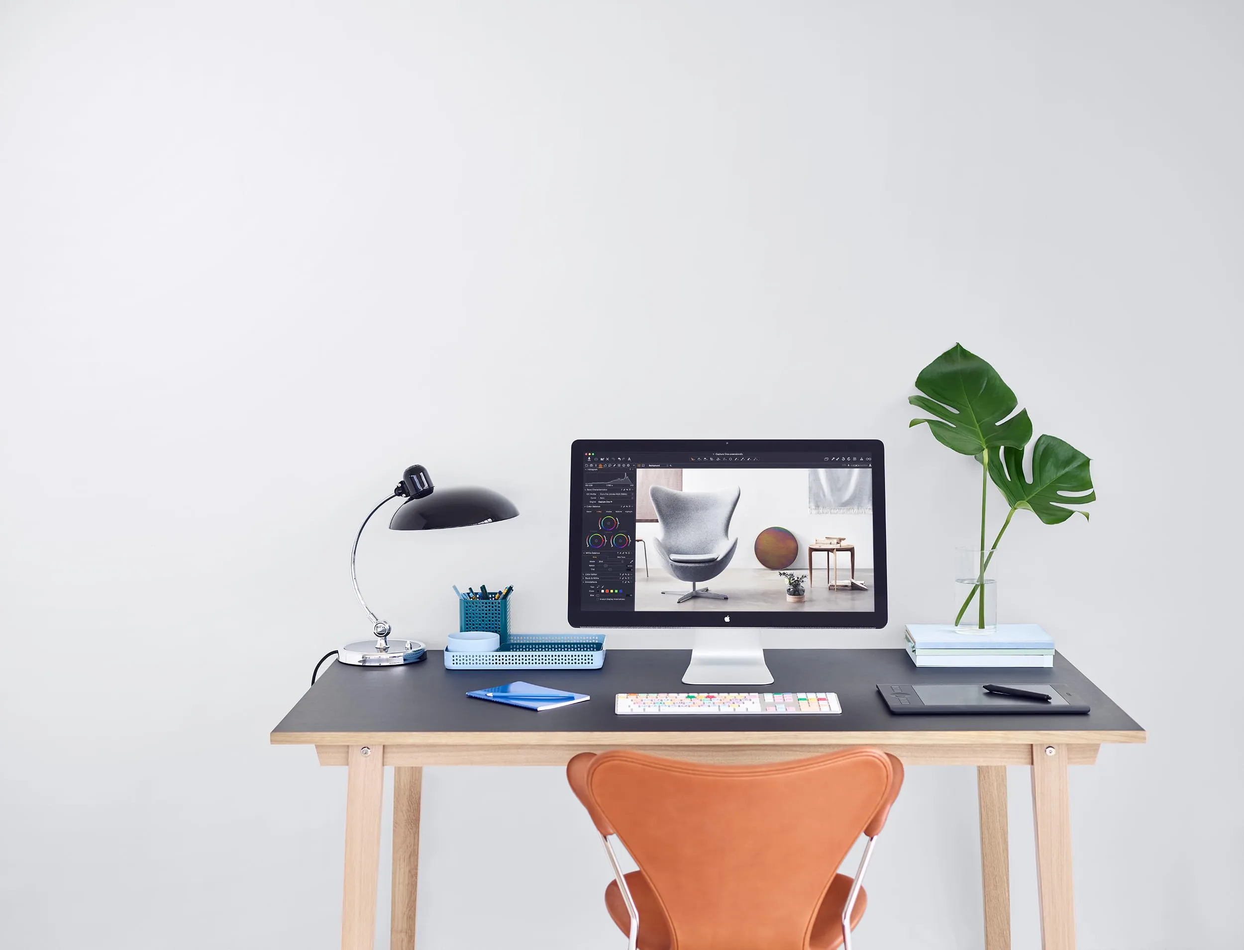 1771851285 530 Capture One 11 Photo Editing Software Single User 3