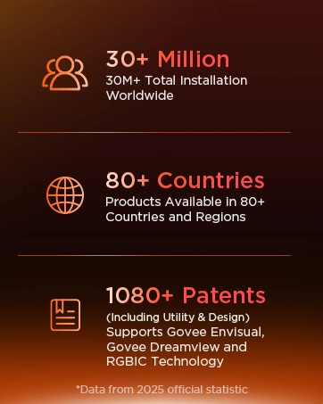 Govee Christmas lights