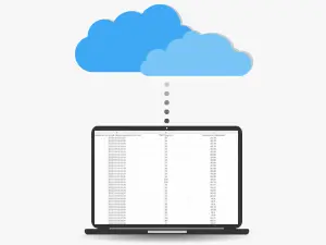 Data Storage and Export