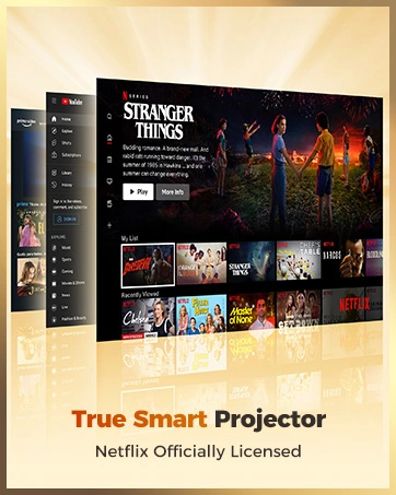 Netflix officially licensed