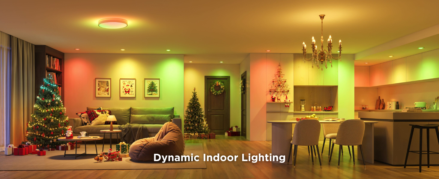 Govee indoor lighting