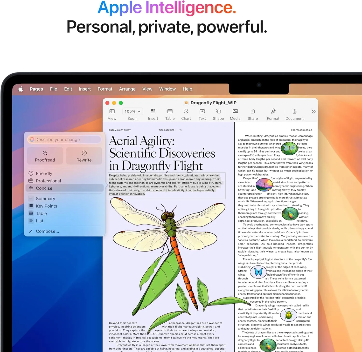 1767997355 55 Apple 2025 MacBook Air 13 inch Laptop with M4 chip Built