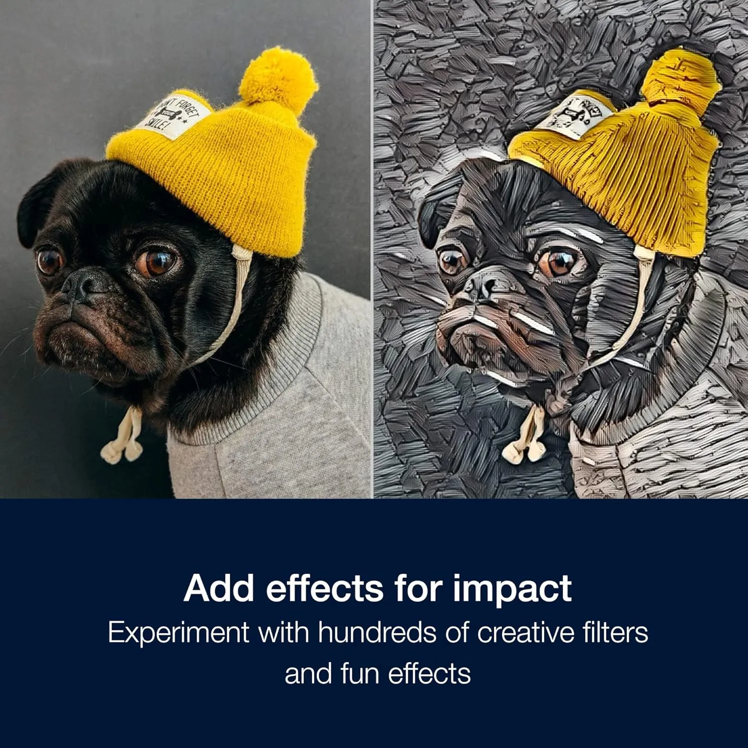 1768999862 510 Corel PaintShop Pro 2023 Ultimate Powerful Photo Editing