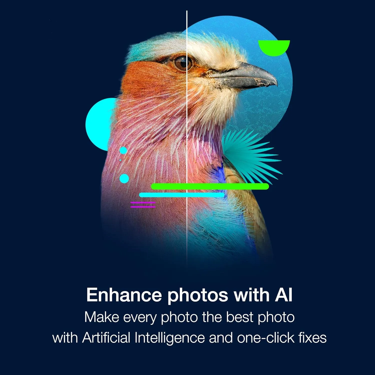 1768999862 599 Corel PaintShop Pro 2023 Ultimate Powerful Photo Editing