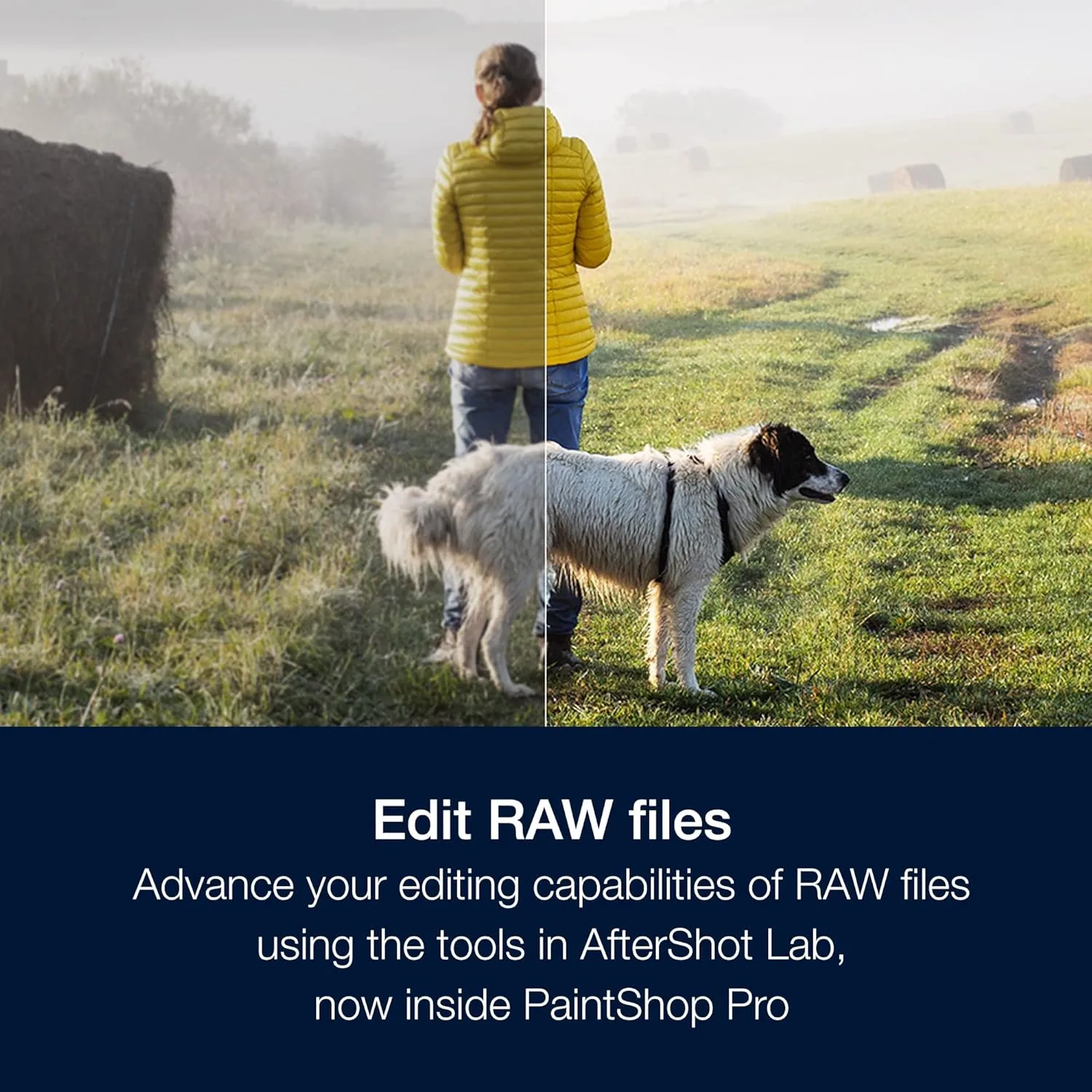 1768999862 639 Corel PaintShop Pro 2023 Ultimate Powerful Photo Editing