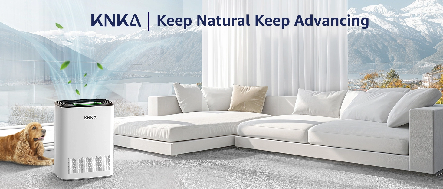 hepa filters air purifier large college dorm air purifier pet air purifiers for bedroom