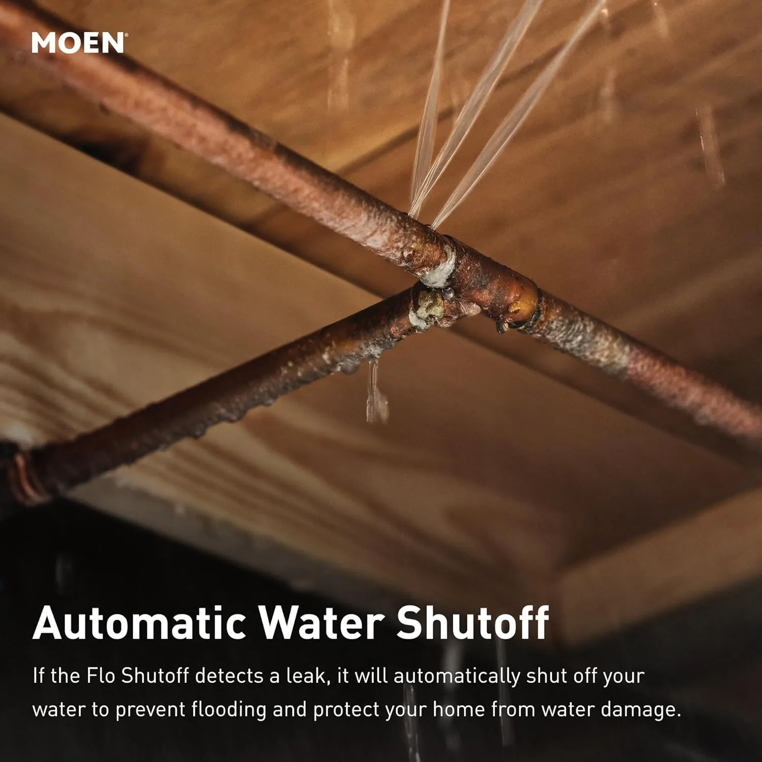 1769689169 858 Moen Flo Smart Water Monitor and Automatic Shutoff Sensor Wi Fi