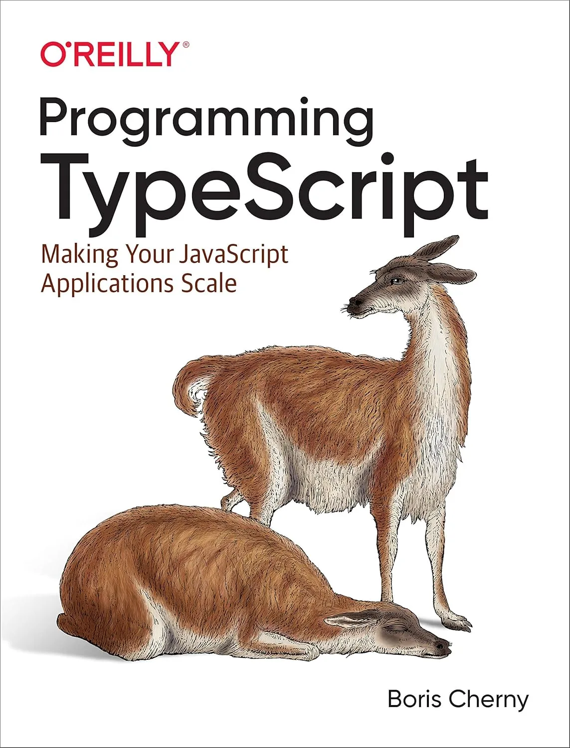 1769898096 317 Programming TypeScript Making Your JavaScript Applications Scale