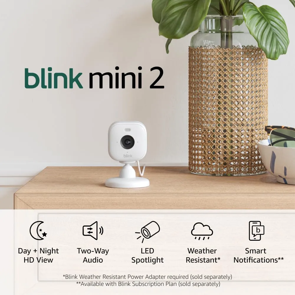 Blink Mini 2 %E2%80%94 Home Security Pet Camera with