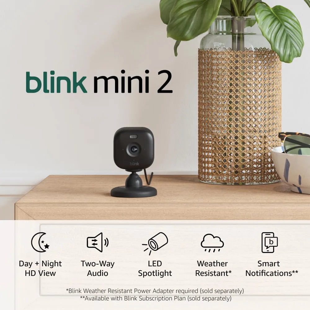 Blink Mini 2 %E2%80%94 Home Security Pet Cameras with