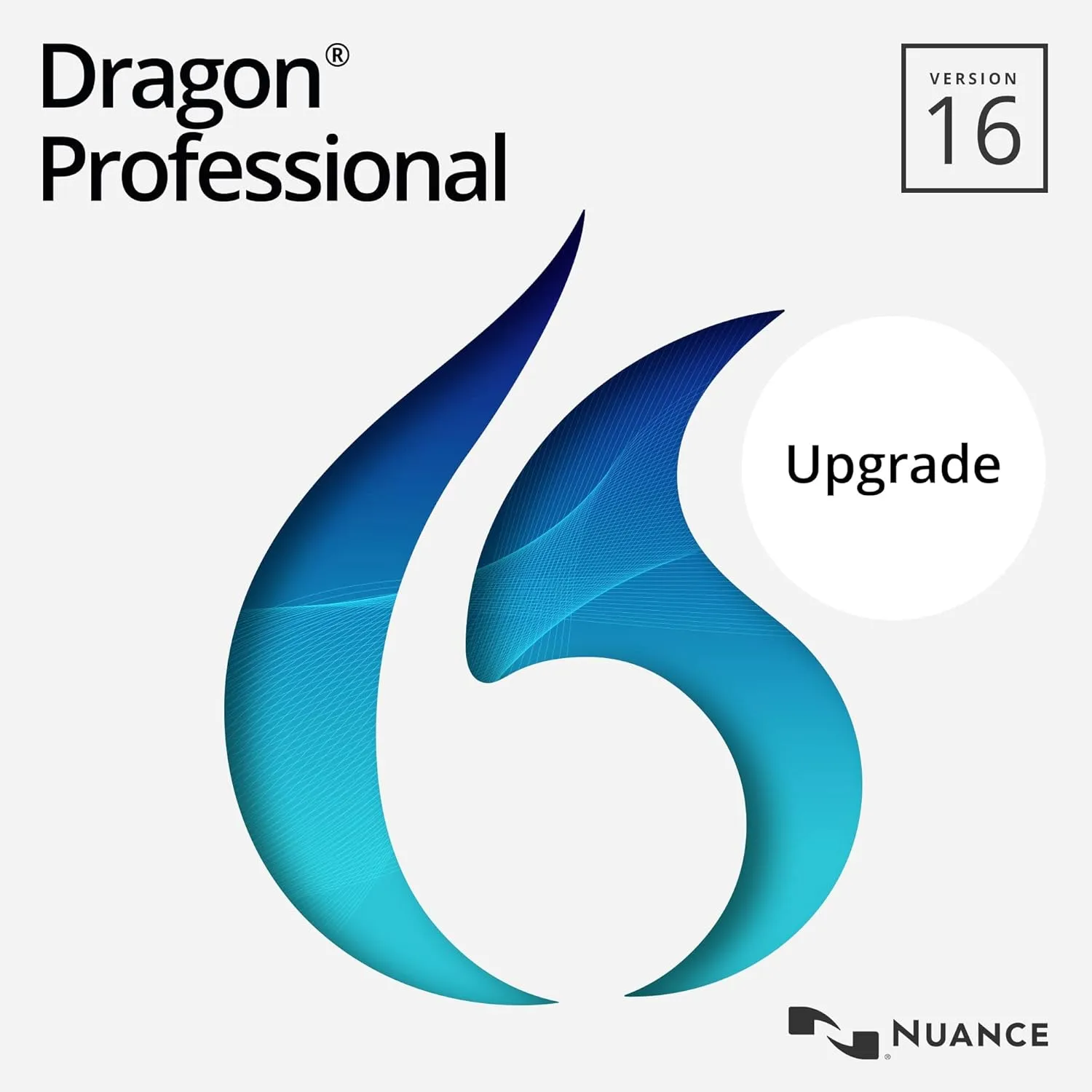 Dragon Professional 160 Upgrade from Dragon Professional 150 PC Download