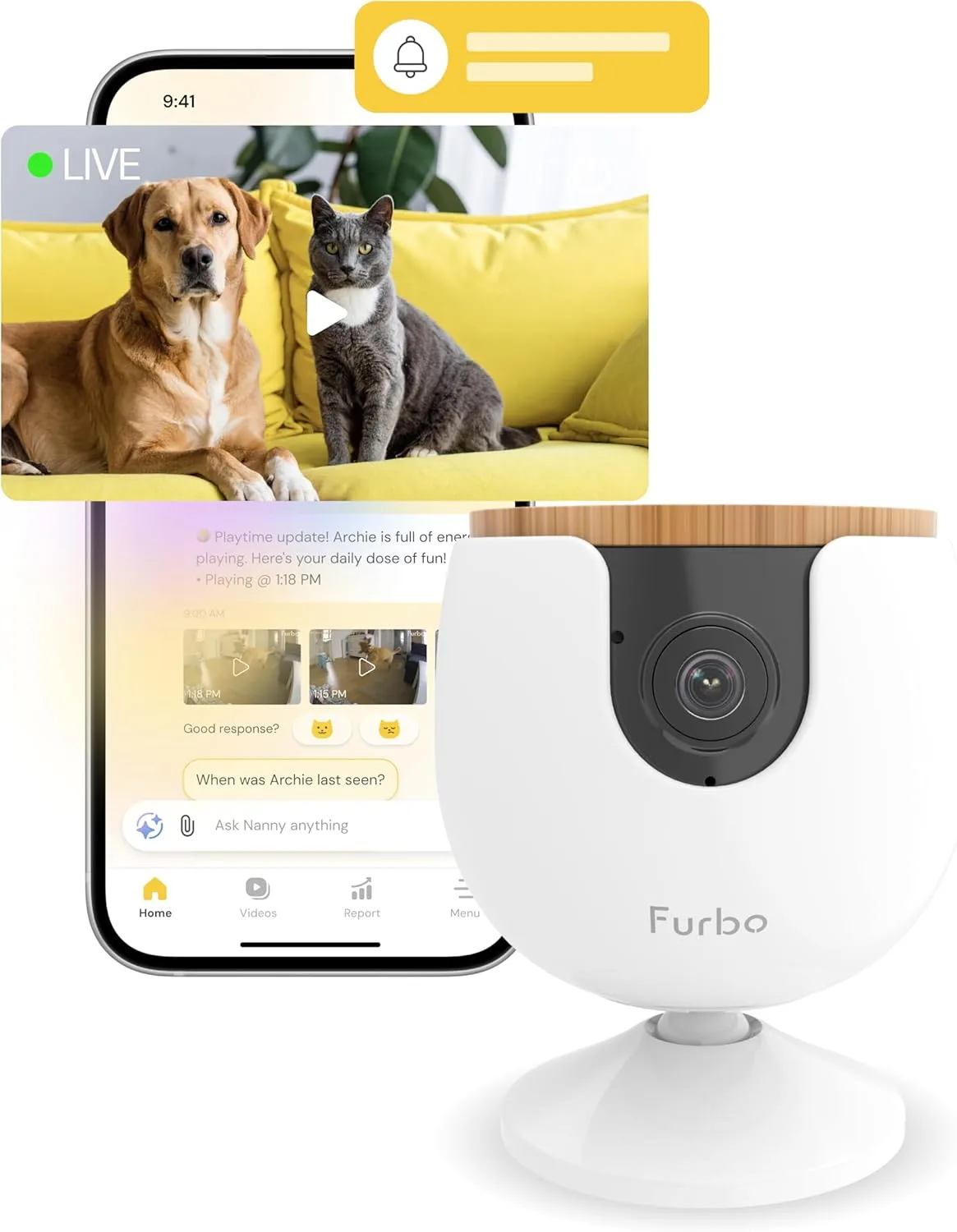 Furbo Mini Pet Camera Subscription Required Unlock Camera wPaid Plan