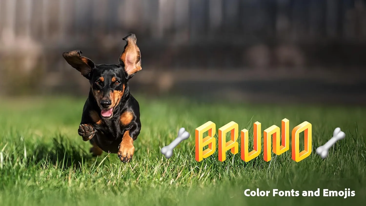 1769988302 558 Adobe Premiere Elements 2026 Software Download Video Editing