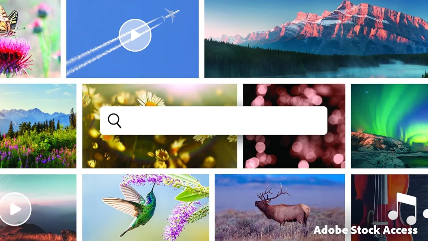 1769988302 656 Adobe Premiere Elements 2026 Software Download Video Editing