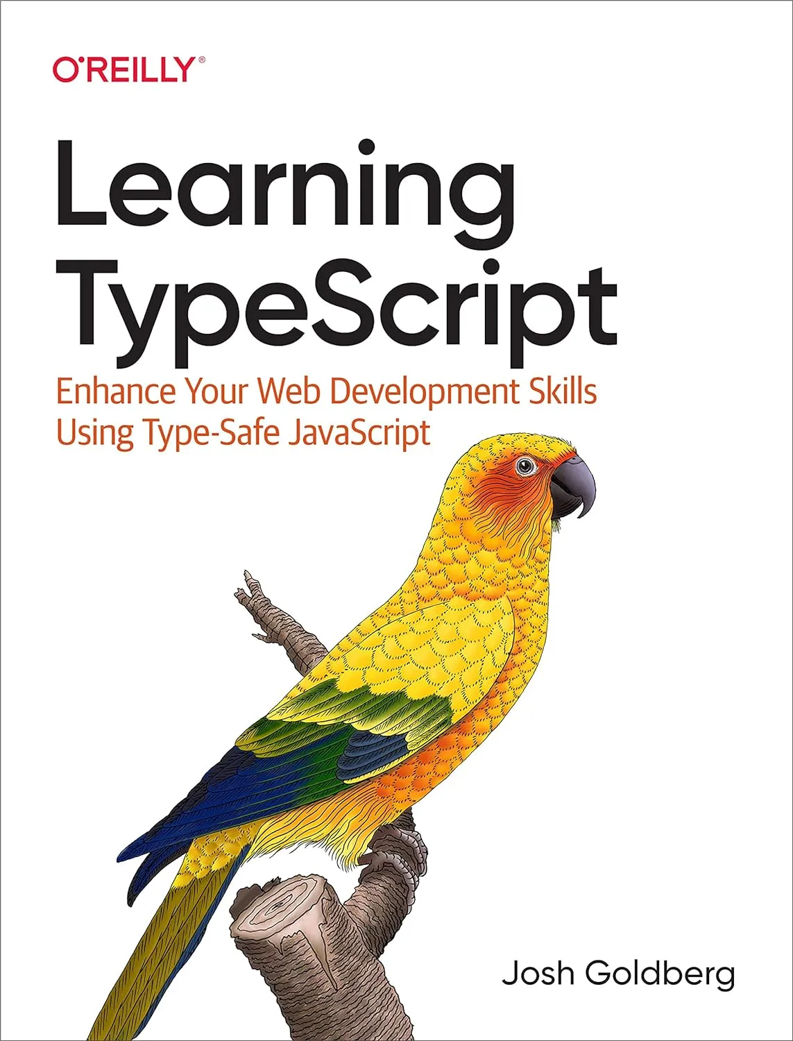 Learning TypeScript Enhance Your Web Development Skills Using Type Safe JavaScript