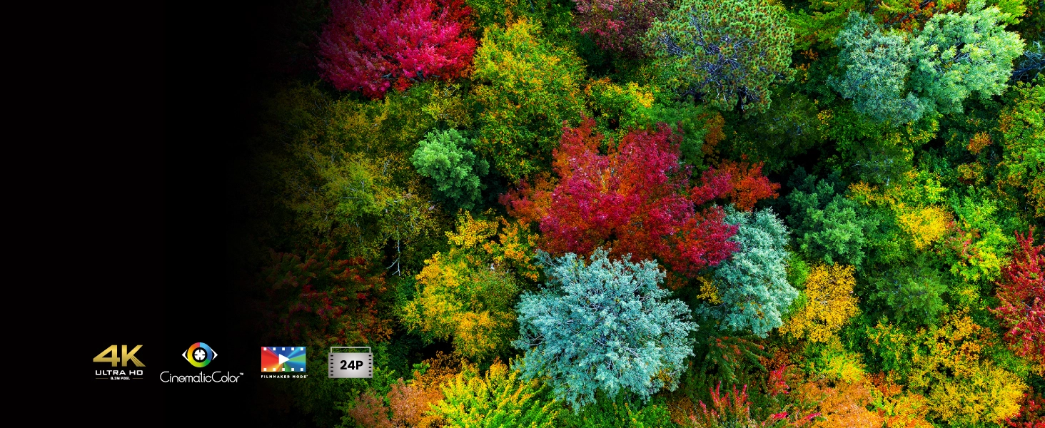 BenQ HDR-PRO delivers authentic HDR performance with deep contrast and lifelike details