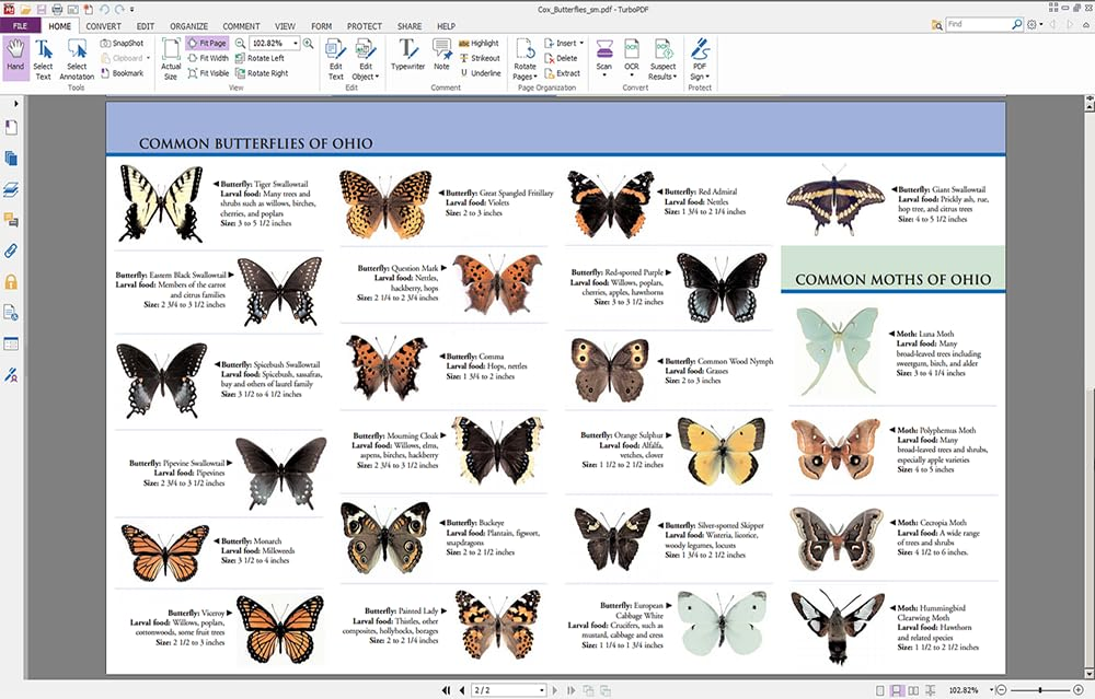 1772777685 162 TurboPDF Download