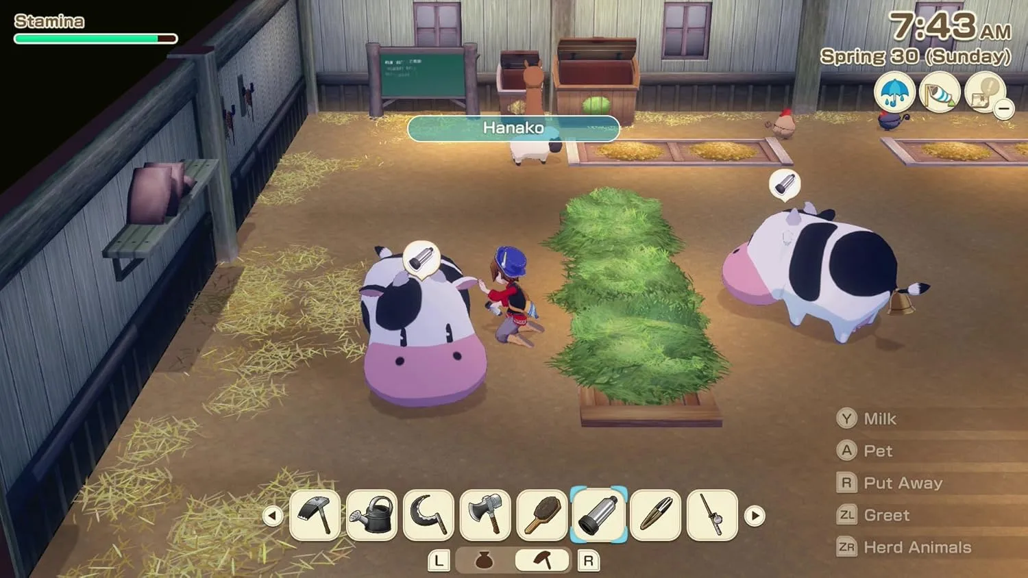 1772894043 112 XSEED Games Story of Seasons Grand Bazaar Nintendo Switch