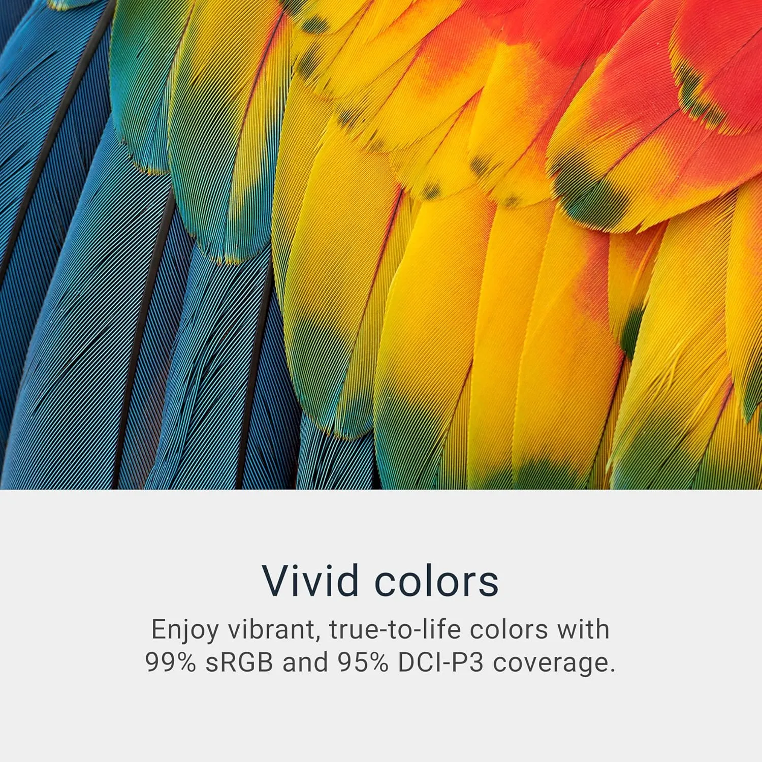 1773002962 664 Dell 34 Plus USB C Curved Monitor S3425DW 34 inch