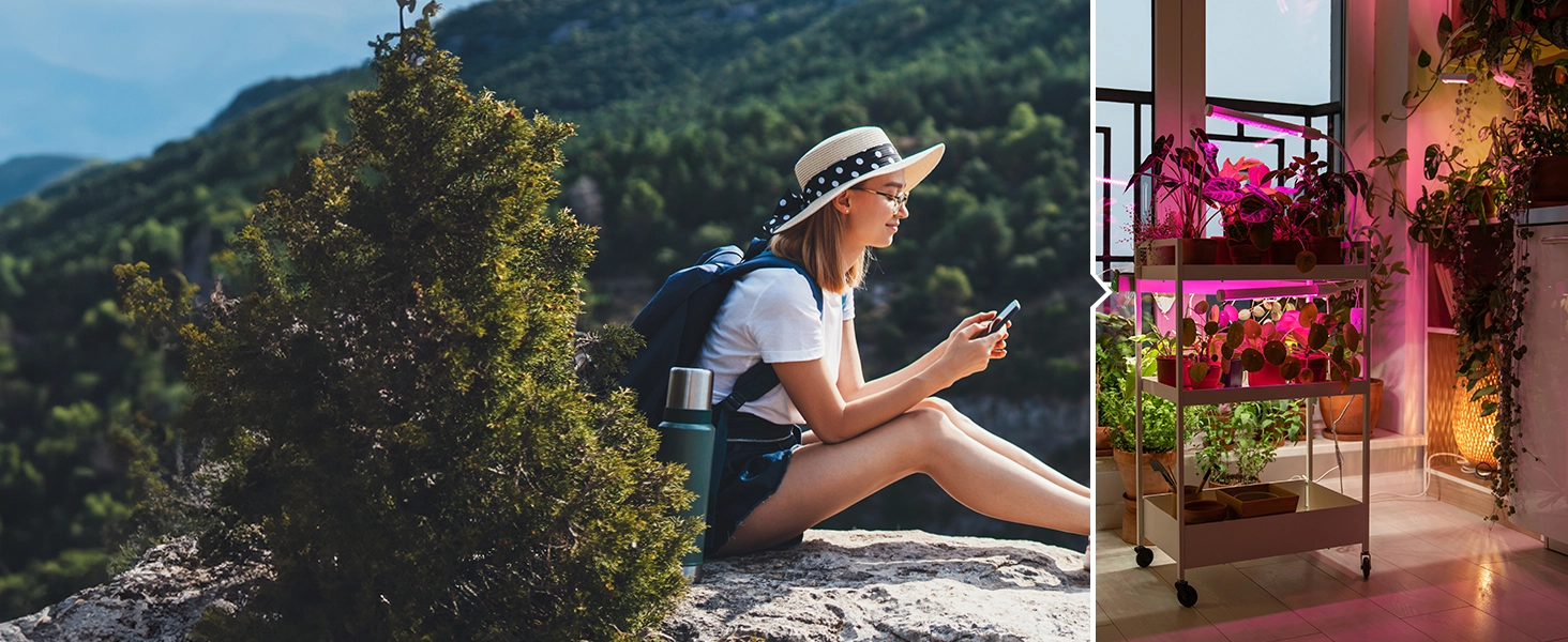 remote of plant light