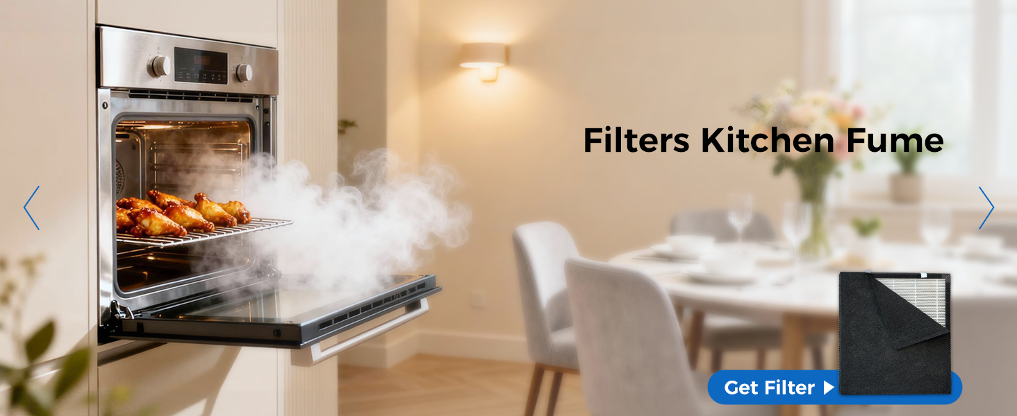 air purifier for kitchen fume