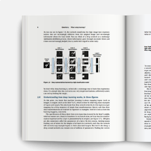 Deep Learning with Python, Third Edition quote 1