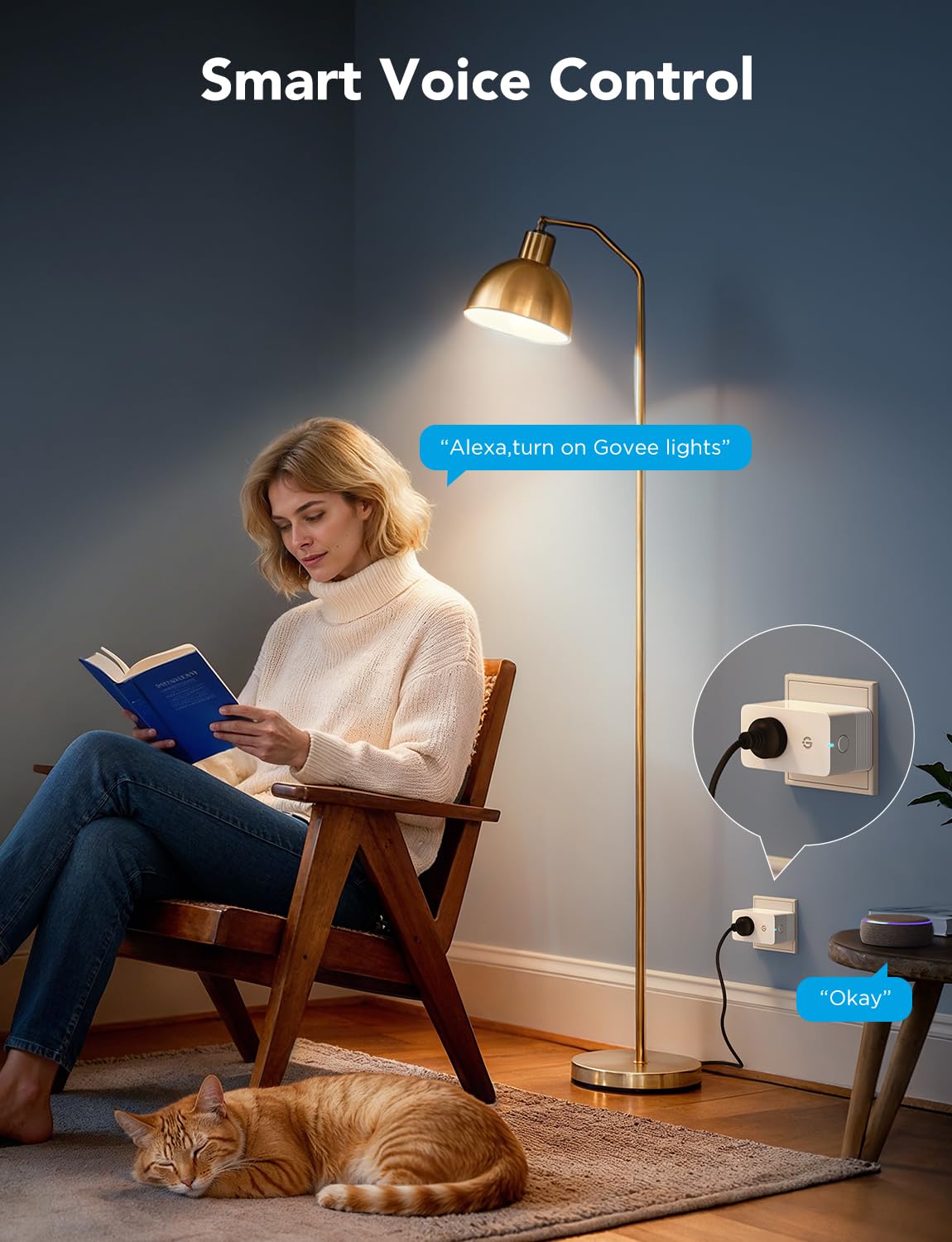 1770231575 976 Govee Smart Plug with Energy Monitoring WiFi Bluetooth Plug Work.jpg