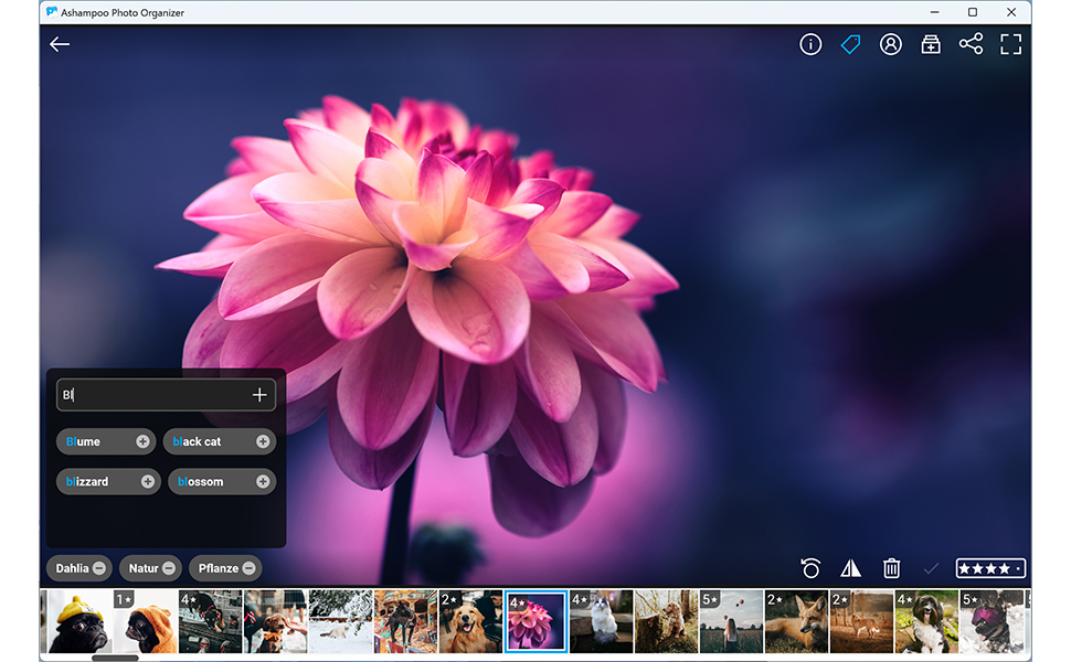 Photo Organizer Pro 25
