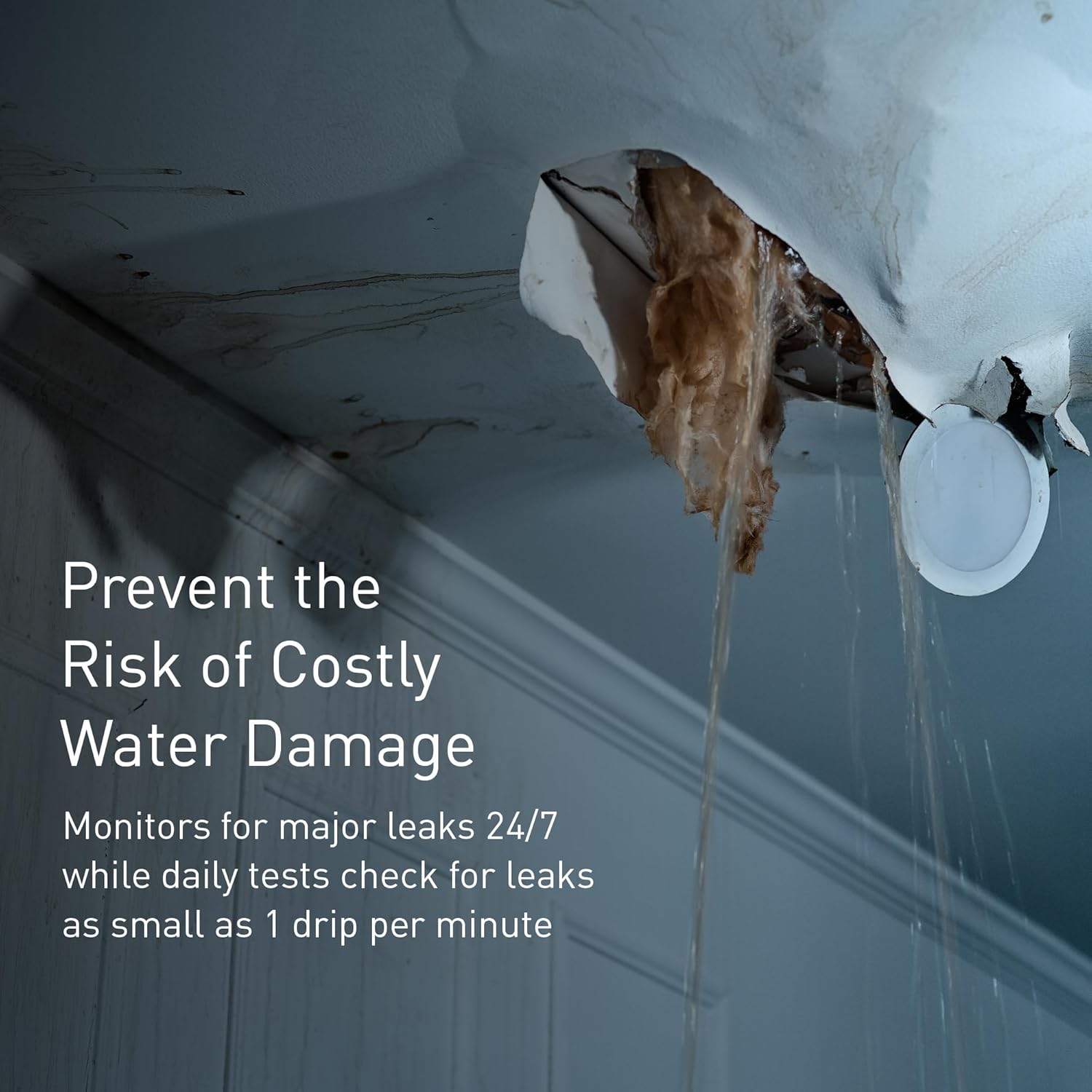 1771381795 608 Moen Flo Smart Water Monitor and Automatic Shutoff Sensor Wi Fi.jpg