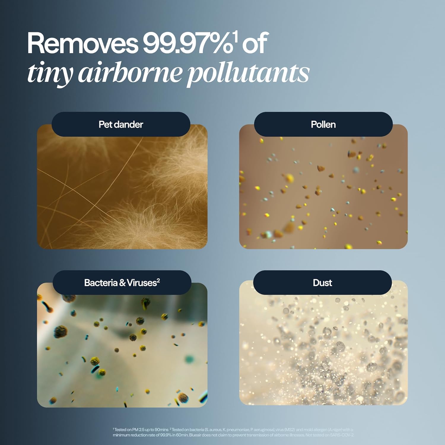 1771732842 448 BLUEAIR Air Purifiers for Medium Rooms Bedroom Kitchen Cleans 1858.jpg