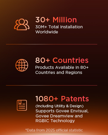 Govee Christmas lights