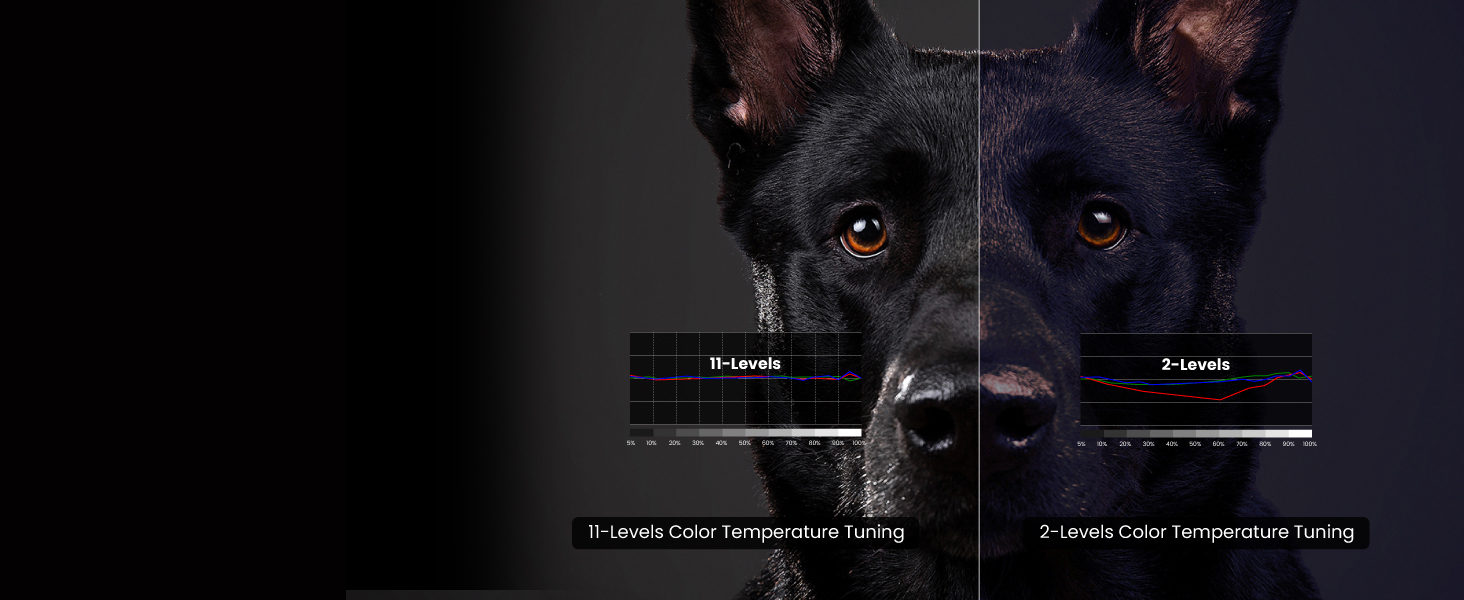 BenQ W4100i adjust the most accurate mid-tone colors