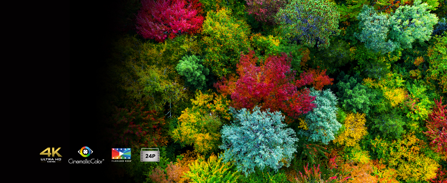 BenQ HDR-PRO delivers authentic HDR performance with deep contrast and lifelike details