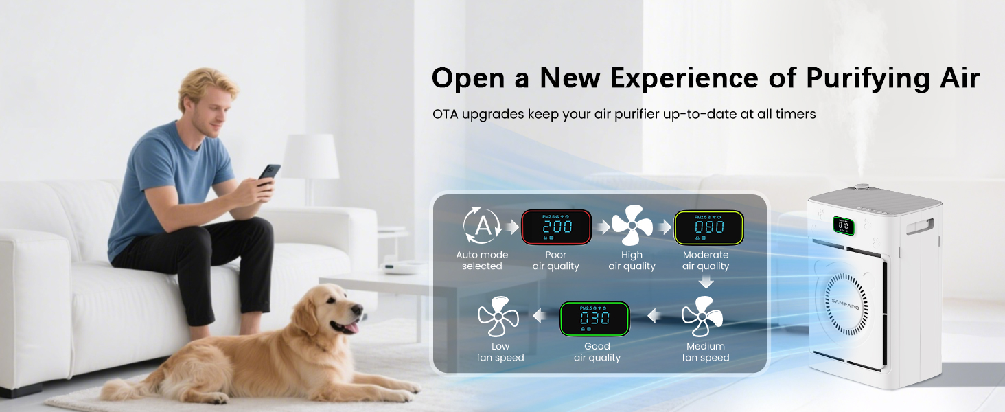 air purifiers for home large room